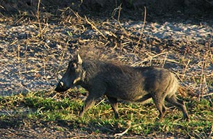 Botswana